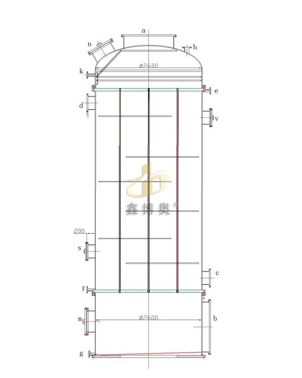 SWZY系列列管式石墨酸雾冷却器结构设计图